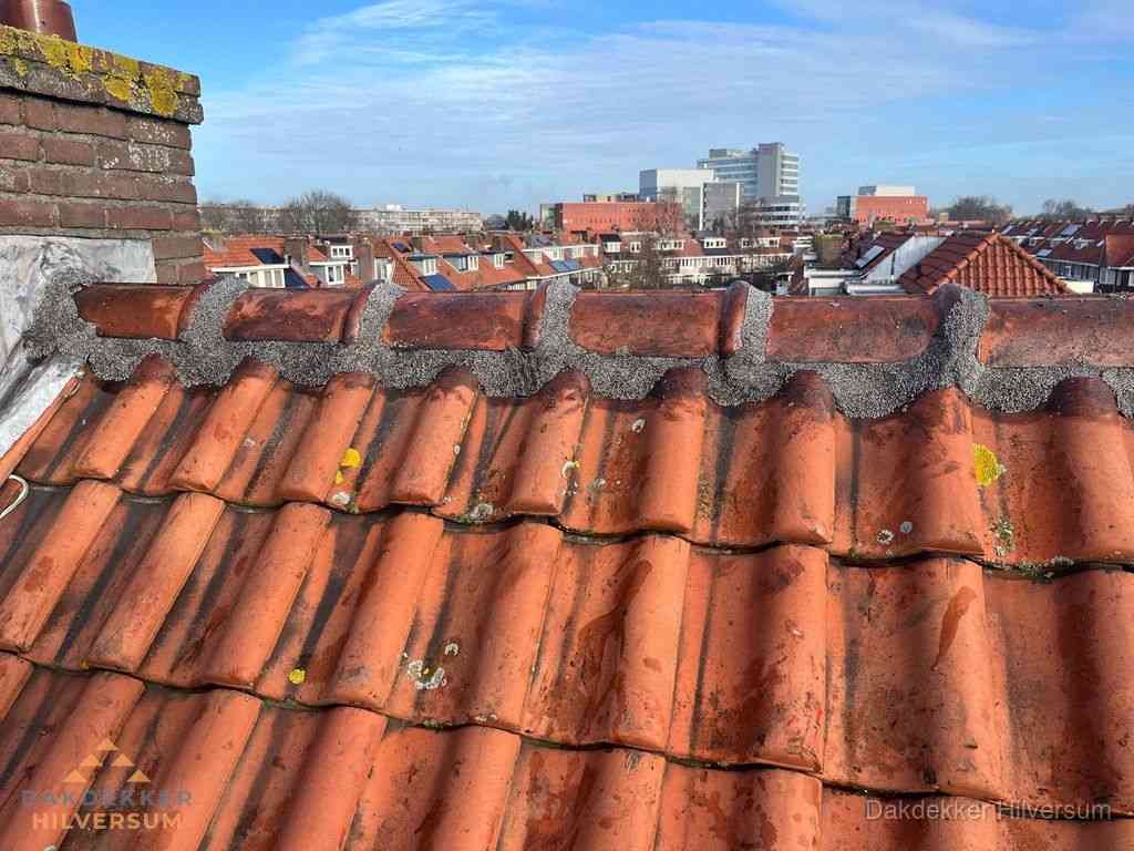 Nieuw bitumen plat dak met uitzicht over woonwijk in Hilversum