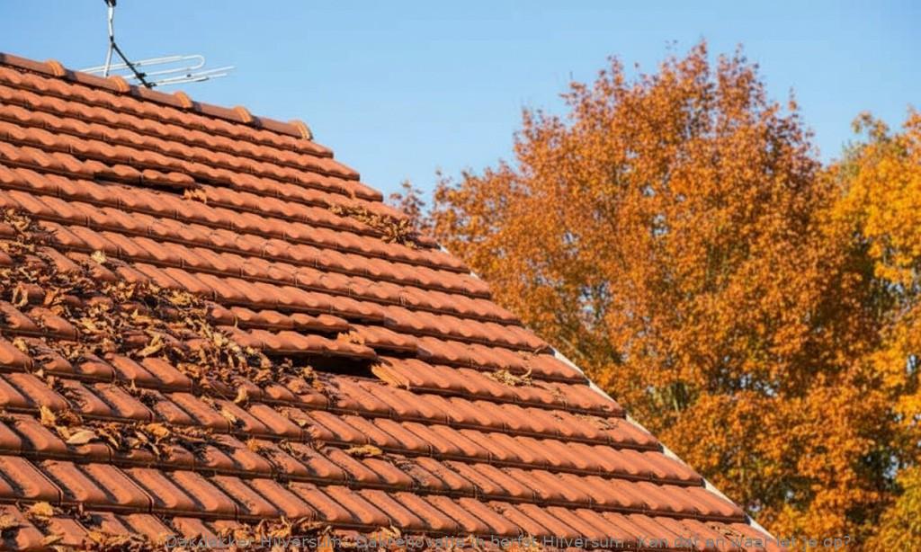Dakrenovatie In Herfst Hilversum