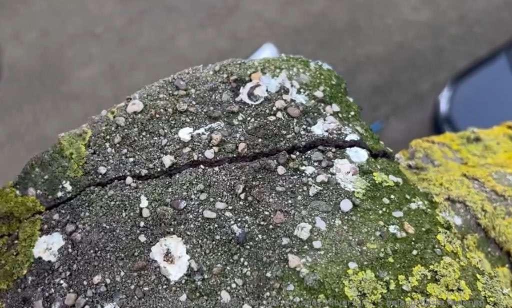 Oorzaken van daklekkages Hilversum: 5 belangrijkste redenen